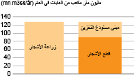 AVT-fig04-SE.jpg