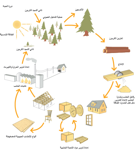 AVT-fig12-SE.jpg